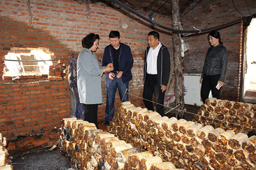 图片6.jpg 图片6.jpg