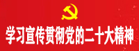 党的二十大