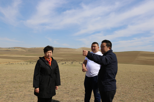 IMG_3546_编辑.jpg